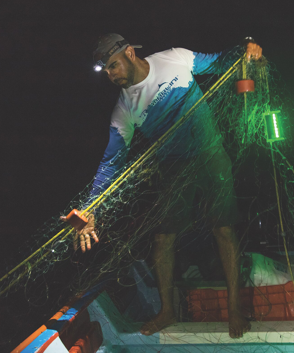 Developing and testing bycatch reduction technologies